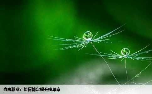 自由职业：如何稳定提升接单率