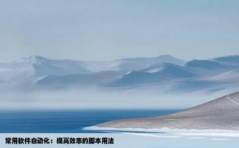 常用软件自动化：提高效率的脚本用法