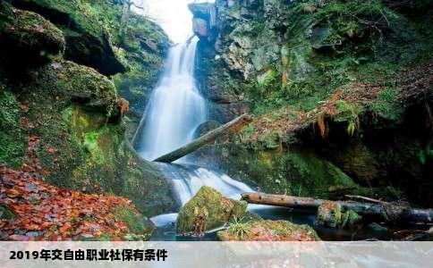 2019年交自由职业社保有条件