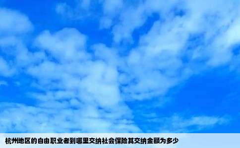 杭州地区的自由职业者到哪里交纳社会保险其交纳金额为多少