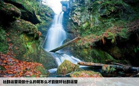 社群运营是做什么的啊怎么才能做好社群运营