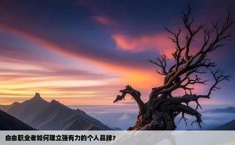 自由职业者如何建立强有力的个人品牌？