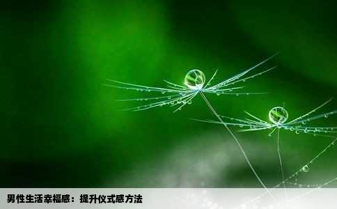 男性生活幸福感：提升仪式感方法