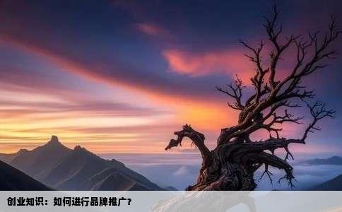 创业知识：如何进行品牌推广？