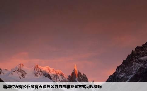新单位没有公积金有五险怎么办自由职业者方式可以交吗