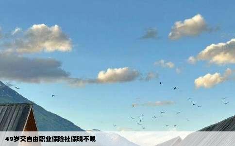 49岁交自由职业保险社保晚不晚