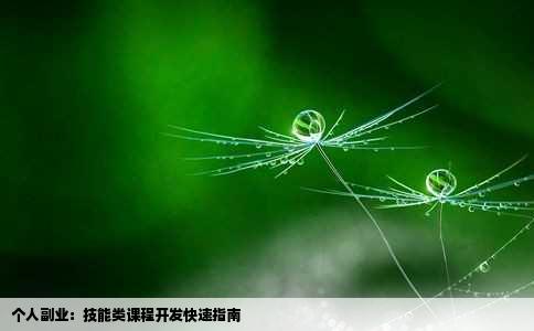 个人副业：技能类课程开发快速指南