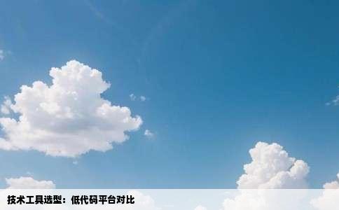 技术工具选型：低代码平台对比