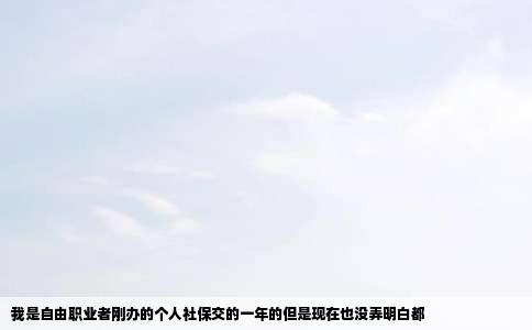 我是自由职业者刚办的个人社保交的一年的但是现在也没弄明白都