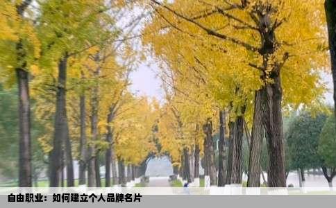 自由职业：如何建立个人品牌名片