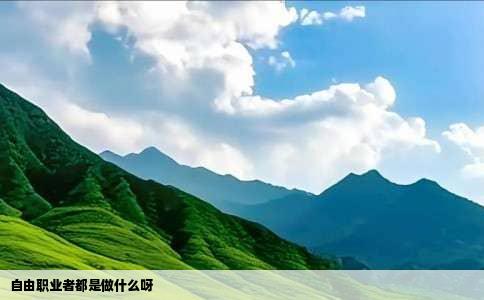 自由职业者都是做什么呀