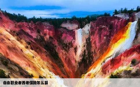 自由职业者养老保险怎么算