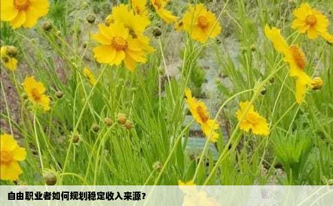 自由职业者如何规划稳定收入来源？