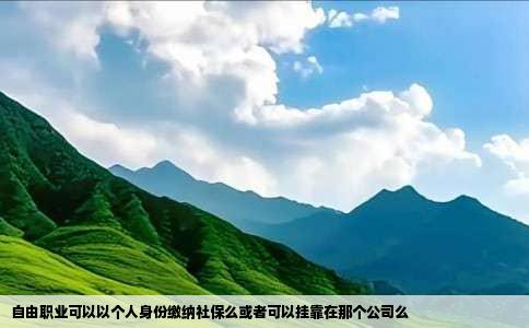 自由职业可以以个人身份缴纳社保么或者可以挂靠在那个公司么