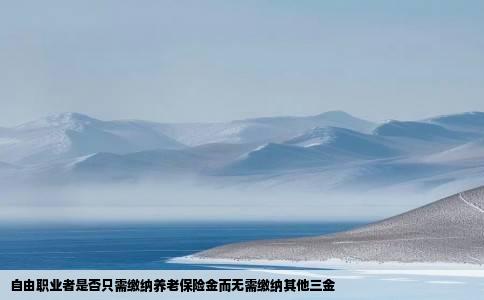 自由职业者是否只需缴纳养老保险金而无需缴纳其他三金