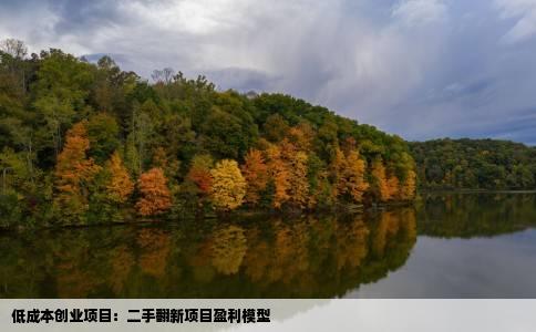 低成本创业项目：二手翻新项目盈利模型