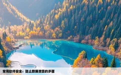 常用软件安全：防止数据泄露的步骤