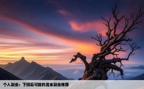 个人副业：下班后可做的周末副业推荐