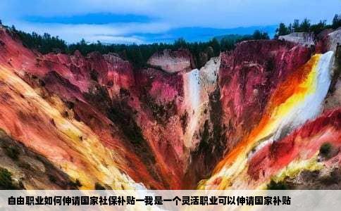 自由职业如何伸请国家社保补贴一我是一个灵活职业可以伸请国家补贴