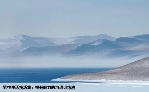 男性生活技巧集：提升魅力的沟通训练法