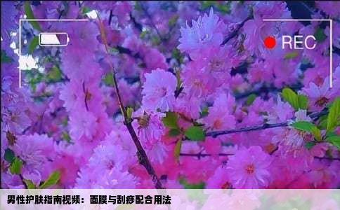 男性护肤指南视频：面膜与刮痧配合用法