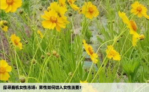 探寻商机女性市场：男性如何切入女性消费？