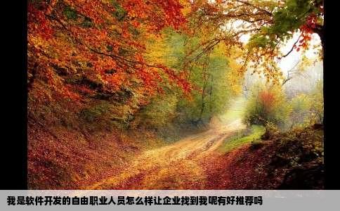 我是软件开发的自由职业人员怎么样让企业找到我呢有好推荐吗
