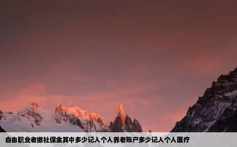 自由职业者缴社保金其中多少记入个人养老账户多少记入个人医疗