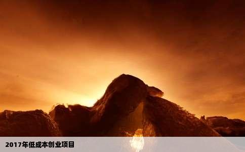 2017年低成本创业项目