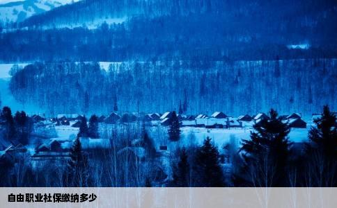 自由职业社保缴纳多少