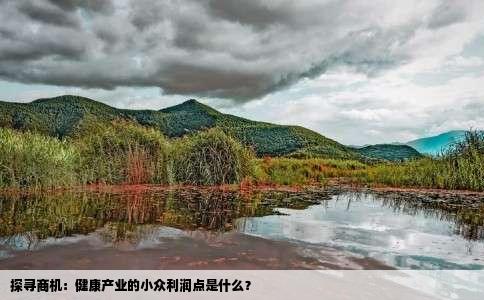 探寻商机：健康产业的小众利润点是什么？