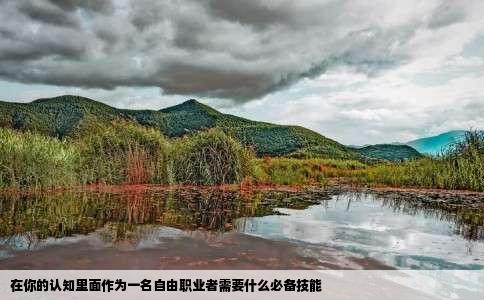 在你的认知里面作为一名自由职业者需要什么必备技能