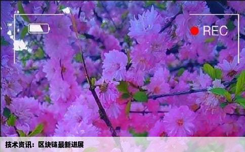 技术资讯：区块链最新进展