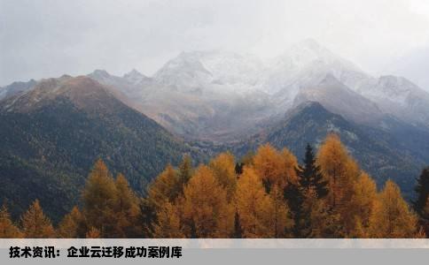 技术资讯：企业云迁移成功案例库
