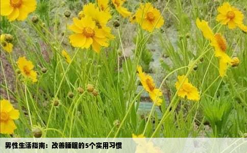 男性生活指南：改善睡眠的5个实用习惯