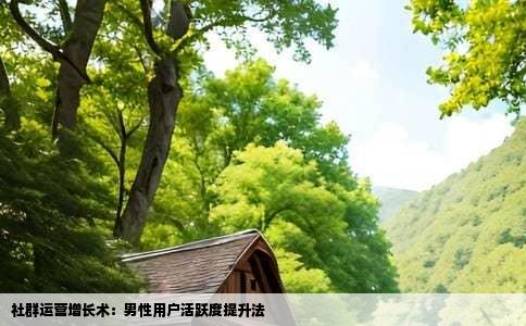 社群运营增长术：男性用户活跃度提升法