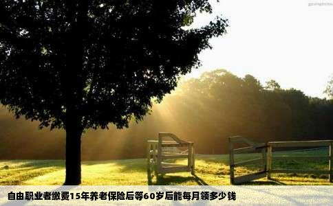 自由职业者缴费15年养老保险后等60岁后能每月领多少钱
