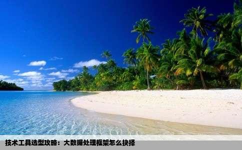 技术工具选型攻略：大数据处理框架怎么抉择