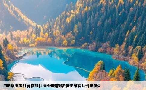 自由职业者打算参加社保不知需缴费多少缴费比例是多少