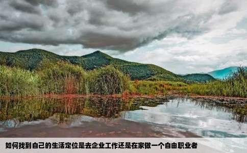 如何找到自己的生活定位是去企业工作还是在家做一个自由职业者