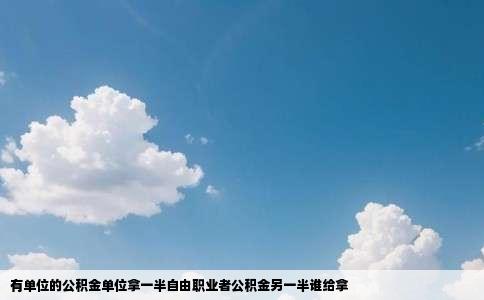 有单位的公积金单位拿一半自由职业者公积金另一半谁给拿
