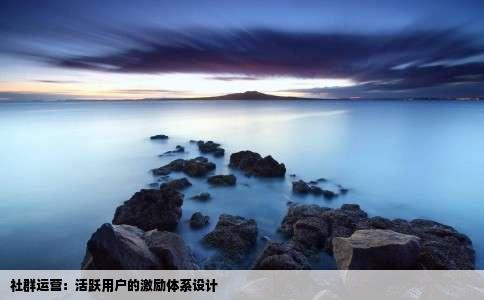 社群运营：活跃用户的激励体系设计