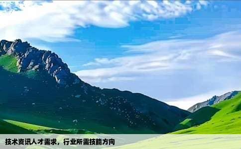 技术资讯人才需求，行业所需技能方向