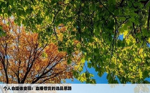 个人自媒体变现：直播带货的选品思路
