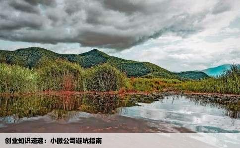 创业知识速递：小微公司避坑指南