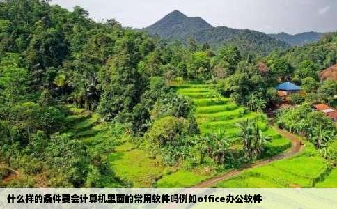 什么样的条件要会计算机里面的常用软件吗例如office办公软件