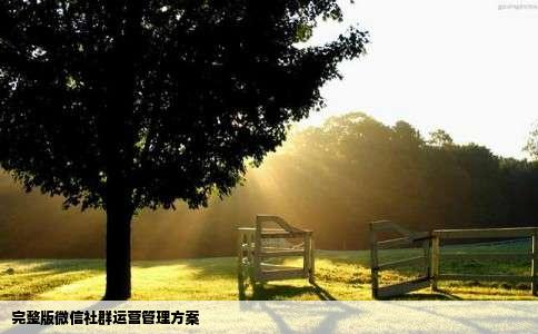 完整版微信社群运营管理方案