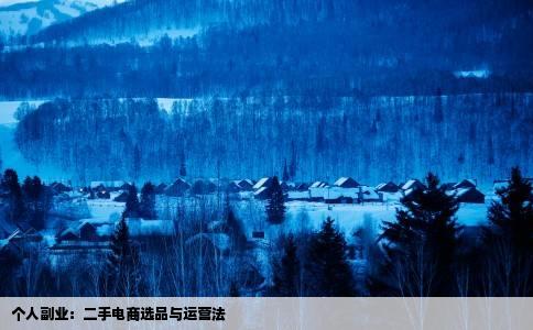 个人副业：二手电商选品与运营法