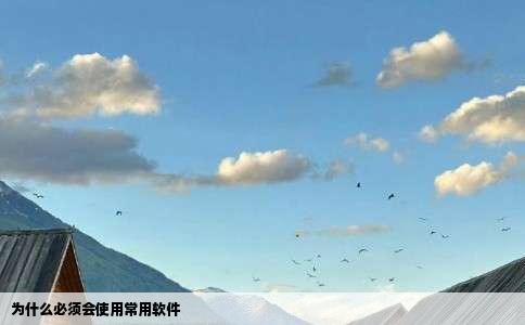 为什么必须会使用常用软件