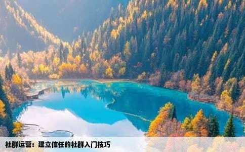 社群运营：建立信任的社群入门技巧